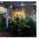 Sara Smile’s Foundation Mosaic – Philadelphia Flower Show 2020